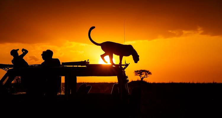 Safari de 7 días a lo más destacado de Kenia con los 5 grandes - Gracepatt Ecotours Kenya 3