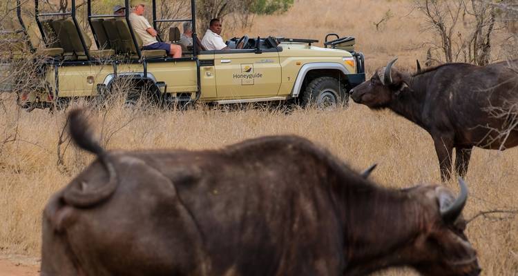 Safari en Sudáfrica - 8 días - On The Go Tours 3