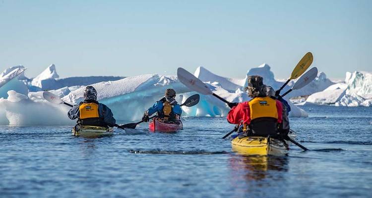 Le meilleur de l'Antarctique : La nature vierge - Intrepid Travel 1