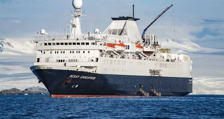Le meilleur de l'Antarctique : La nature vierge - Intrepid Travel 2