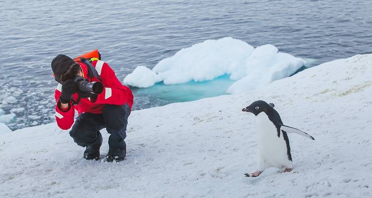 Le meilleur de l'Antarctique : La nature vierge - Intrepid Travel 7