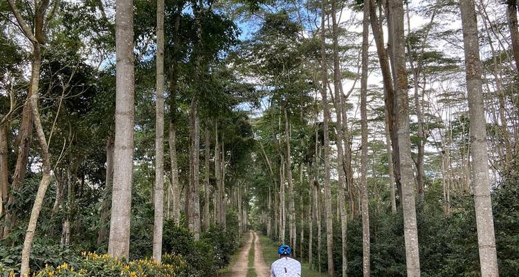 Colombie : Aventure Santander Gravel - Santander Cycling 9