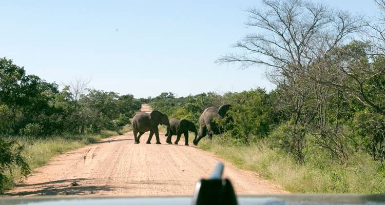 9 Days Cape Town, Garden Route & Addo Package - Cape Xtreme 3