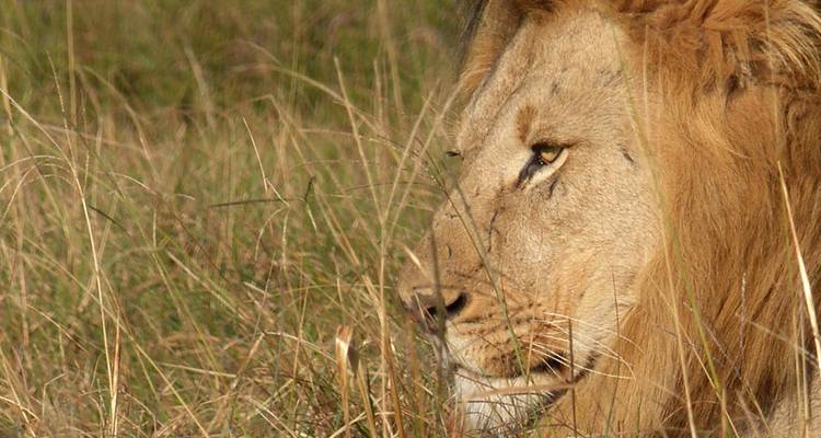 9 Days Cape Town, Garden Route & Addo Package - Cape Xtreme 2