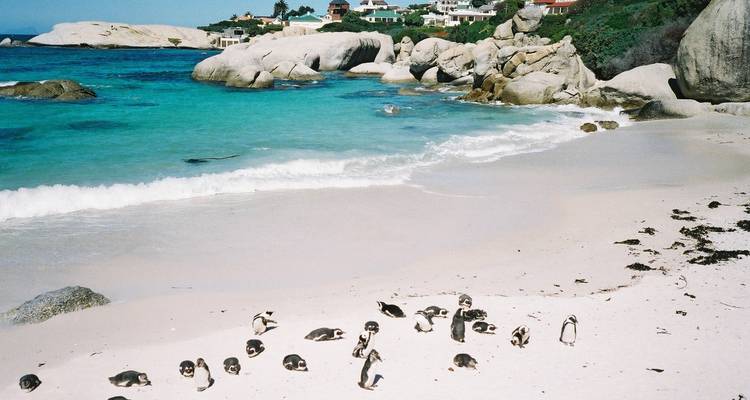 9 Days Cape Town, Garden Route & Addo Package - Cape Xtreme 8