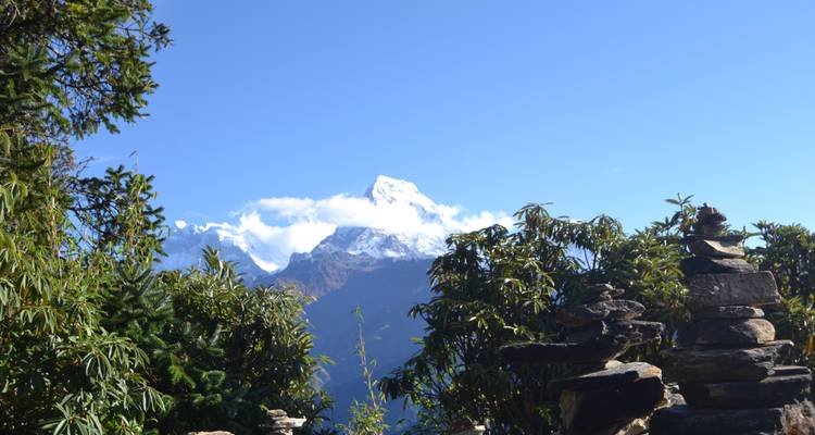 2 Days Ghorepani - Poon Hill trip on Wheel - Oriental Journeys Pvt. Ltd. 6