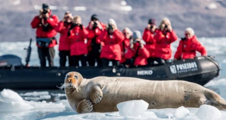 Expédition en Arctique et safari ours polaire - Poseidon Expeditions 7