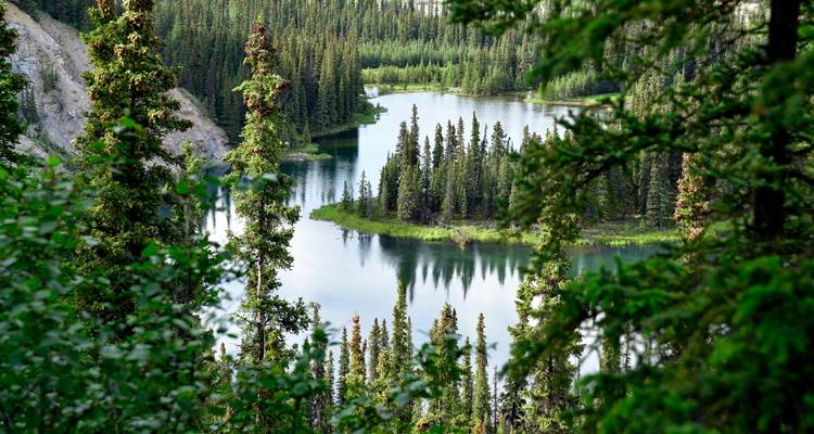 Kenai Fjords & Denali Adventure - Active Adventures 6