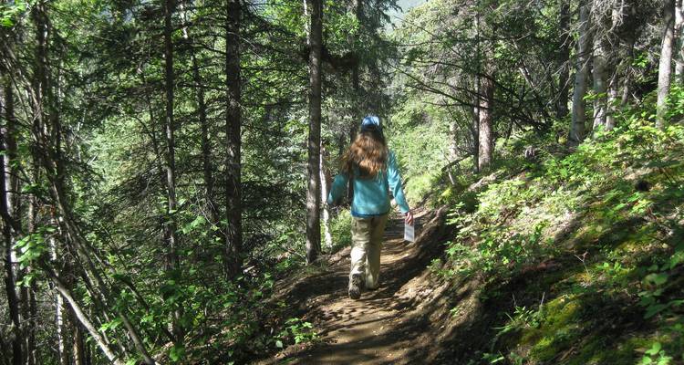 Kenai Fjords & Denali Adventure - Active Adventures 7