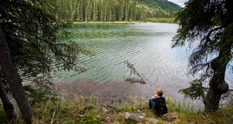 Kenai Fjords & Denali Adventure - Active Adventures 10