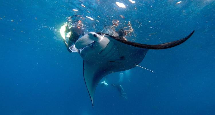 Bali Wildlife Experience - Circuit de 3 jours - privé et tout compris - ForeverVacation 10