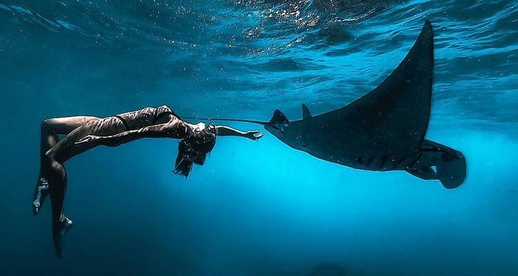 Bali Wildlife Experience 3 Day Tour (Private & All-Inclusive) - ForeverVacation 2