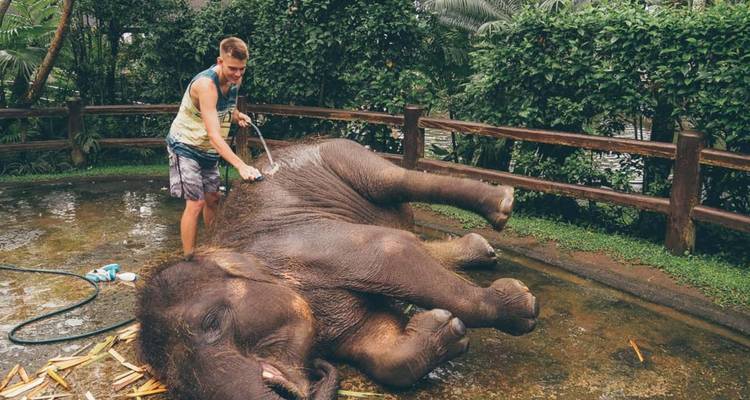 Bali Wildlife Experience 3 Day Tour (Private & All-Inclusive) - ForeverVacation 8