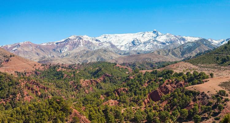 Schneebedeckte Berge mit roter und grüner Landschaft im Vordergrund.