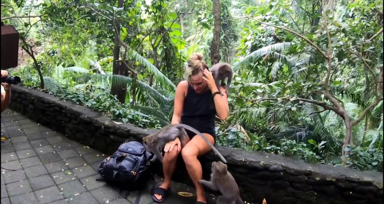 Bali 10 días: circuito por colinas ocultas, cascadas, templos y arrozales en terrazas - Diwira Wisata Indonesia 2