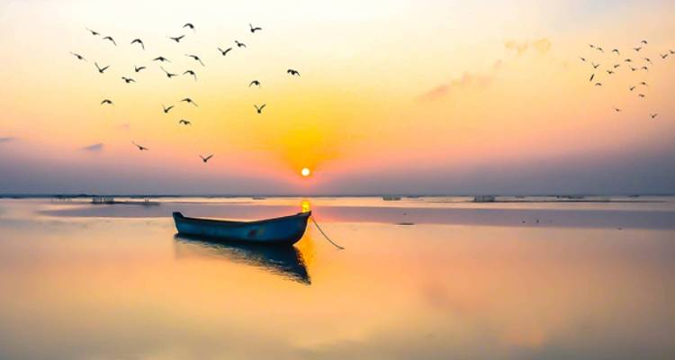 Sri Lanka Nord- Est et plages - 10 jours - On The Go Tours 3