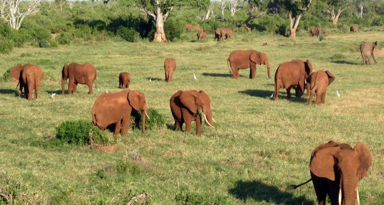 Experiencia en la reserva de Caza Thula Thula 3 días / 2 noches - Across Africa Tours & Travel 1