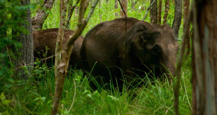 Best of South India Tour - Holidays At 9