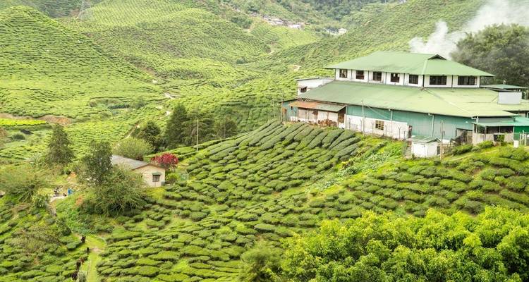 Sorprendente viaje por el sur de la India - Holidays At 2
