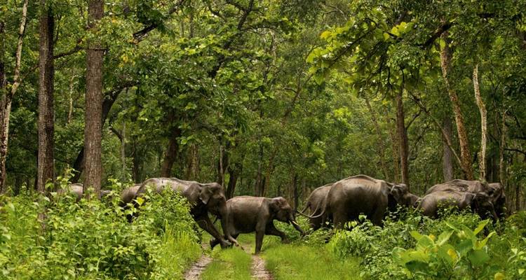Sorprendente viaje por el sur de la India - Holidays At 7