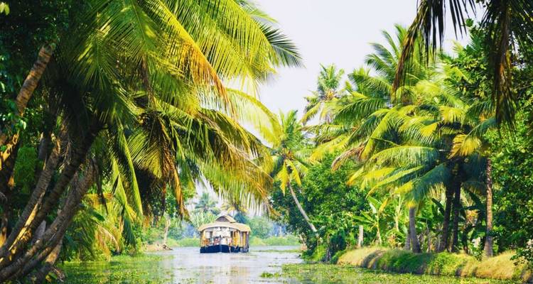 Sorprendente viaje por el sur de la India - Holidays At 10