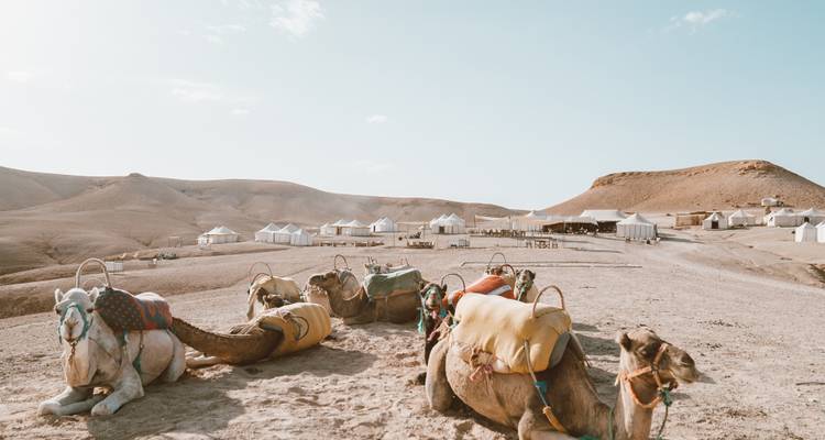 Agafay Desert Dinner show  with quad bike and camel Ride - Desertbrise Travel 8