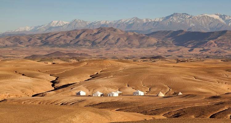 Agafay Desert Dinner show  with quad bike and camel Ride - Desertbrise Travel 9