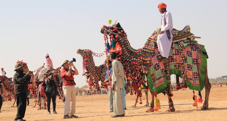 El norte de la India a fondo - Holidays At 3