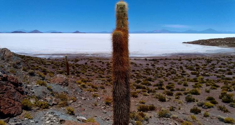 LES PLAINES D'UYUNI ET L'ÎLE DU SOLEIL. LE VOYAGE COMMENCE À PUNO : BUDGET 4 JOURS - Peru Trek 4 Good 7