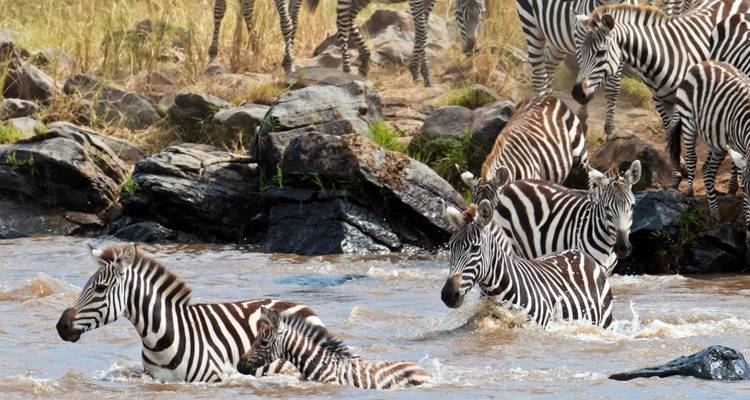 Lo mejor de África oriental - 12 días - On The Go Tours 8
