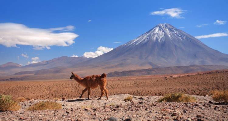 Atacama et le Nord - 10 jours - On The Go Tours 1