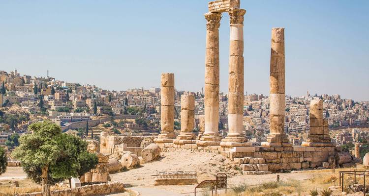 Jordan Wildlife &  Nature - 12 days - On The Go Tours 10
