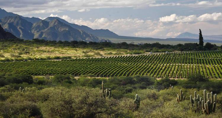 North Argentina Highlights - 12 days - On The Go Tours 6