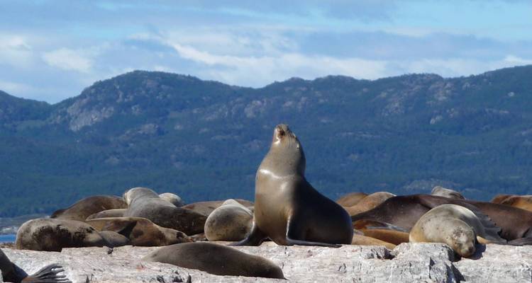 Best of Patagonia - 10 days - On The Go Tours 3