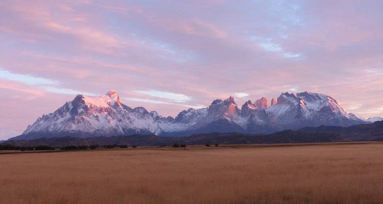 Una vista panorámica de Torres del Paine con montañas y un campo de hierba bajo un cielo rosa y púrpura.