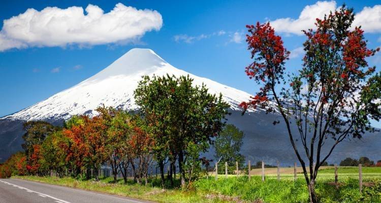 Chile and the Lake District - 14 days - On The Go Tours 1
