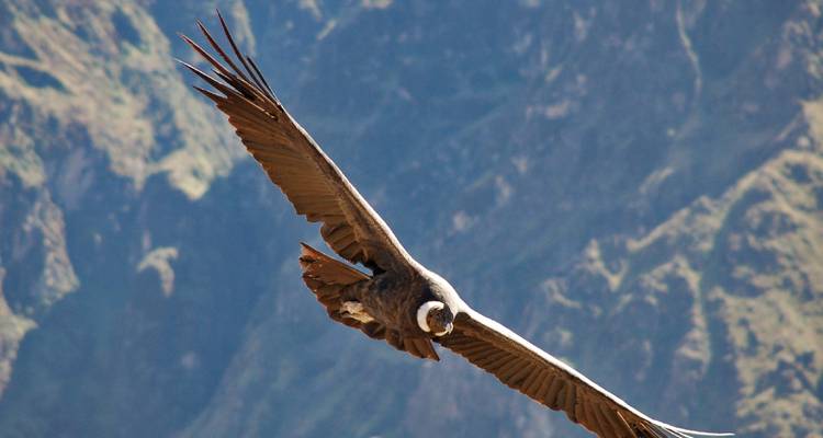Best of Peru - Premium Adventure - Exodus Adventure Travels 7