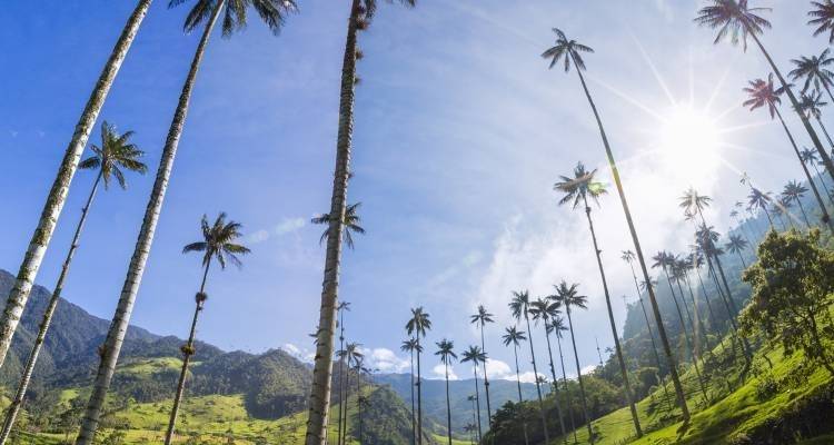 Bogota to Tayrona - 10 days - On The Go Tours 2