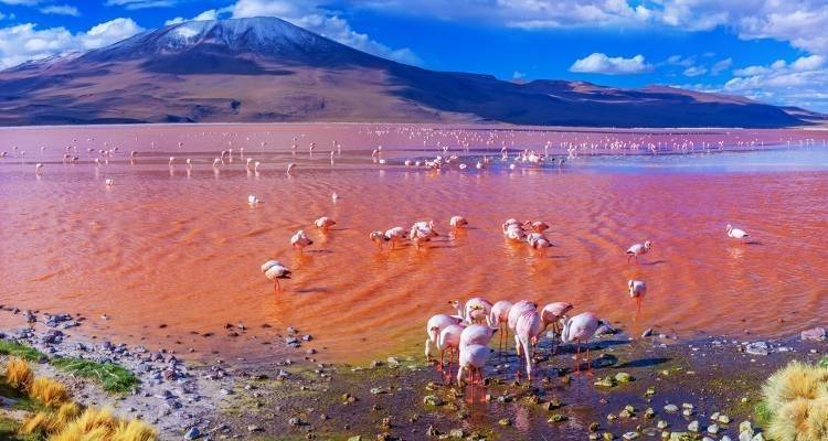 Andean Discovery - 18 days - On The Go Tours 1