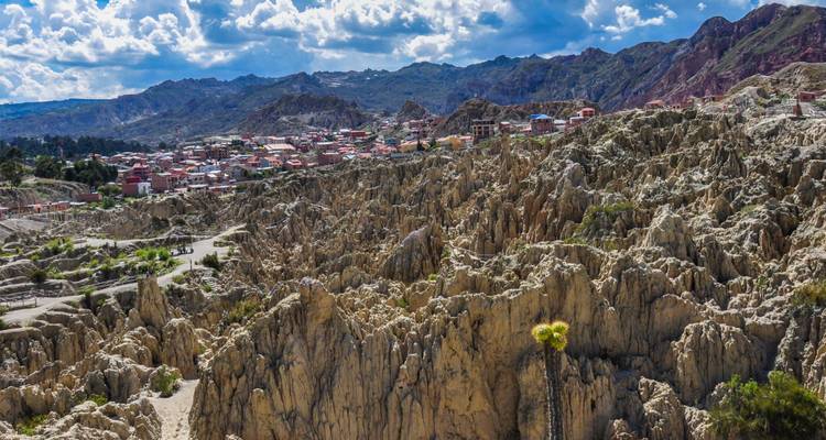 Andean Discovery - 18 days - On The Go Tours 8