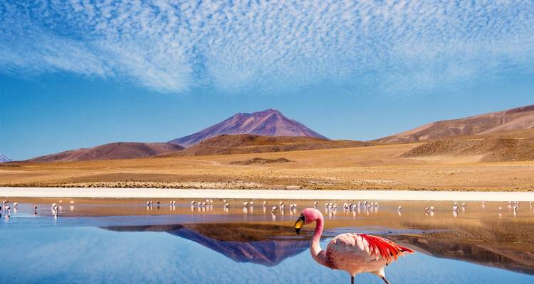Andean Discovery - 18 days - On The Go Tours 10