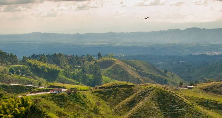 Capital to Cartagena - 10 days - On The Go Tours 6