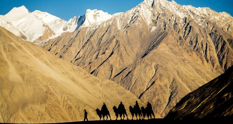 Tierra de Lamas - Holidays At 4
