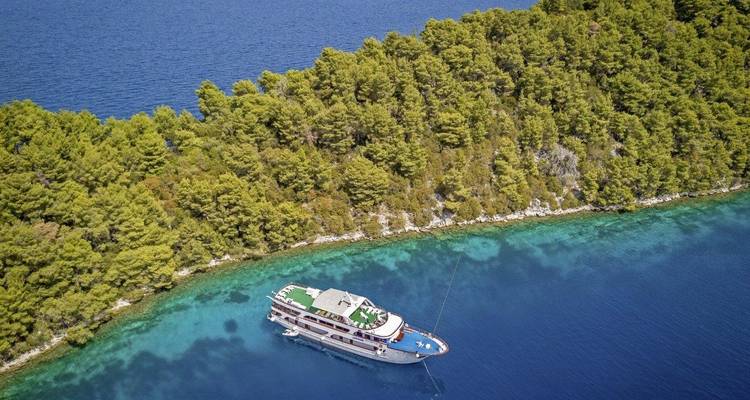 Yacht ancré près d'une côte boisée luxuriante.