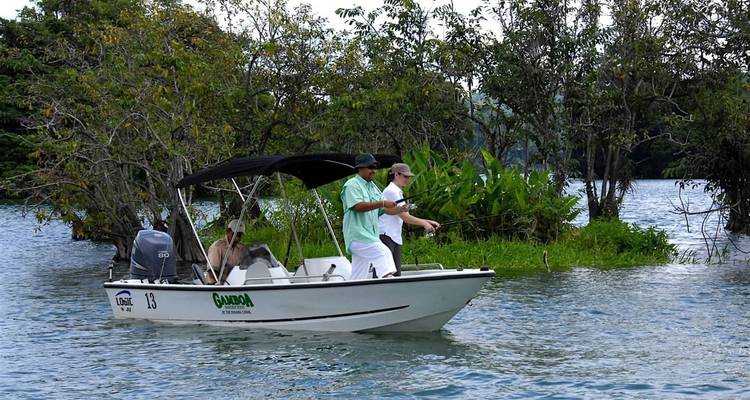 Tropical Adventure in Panama: Gamboa Rainforest and Panama City - BM Tours 1