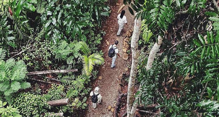 Tropical Adventure in Panama: Gamboa Rainforest and Panama City - BM Tours 2