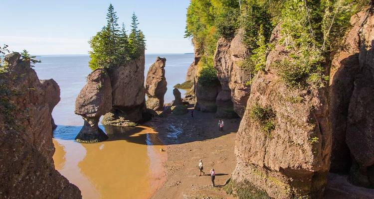 Visitors exploring unique rock formations along a tidal beach.