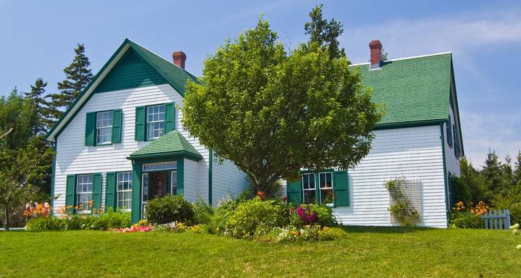 Charming house with green roof and garden on a sunny day