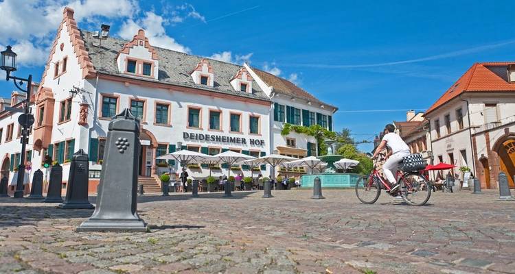 Visita a las bodegas del Rin - Eurobike 3