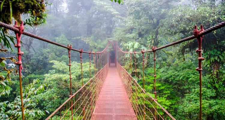 Pont suspendu dans une forêt luxuriante au Costa Rica.